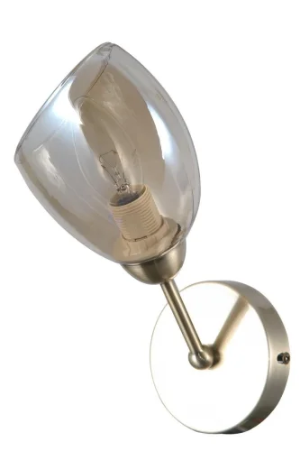 Бра 81037/1W ANTIQUE Natali Kovaltseva прозрачный на 1 лампа, основание бронзовое в стиле современный  фото 2
